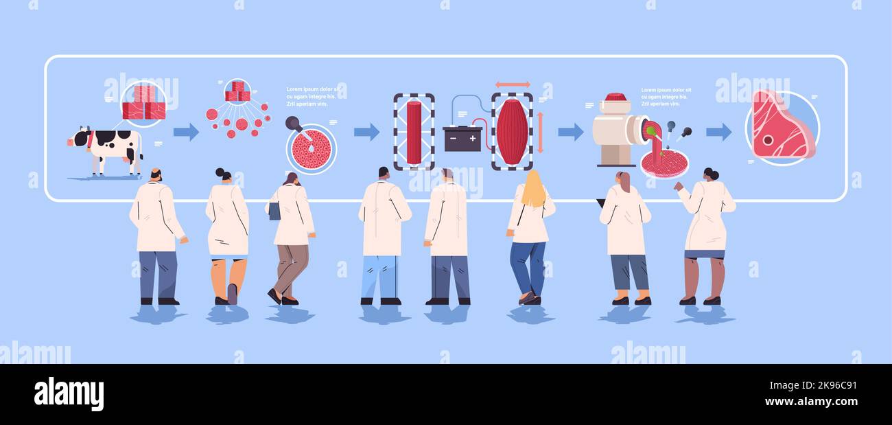 gli scienziati che controllano il processo di produzione di carne cruda rossa coltivata a partire da cellule animali laboratorio artificiale produzione di carne fasi Illustrazione Vettoriale