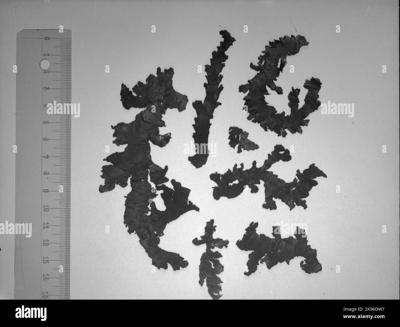 Strutture metalliche Foto Stock