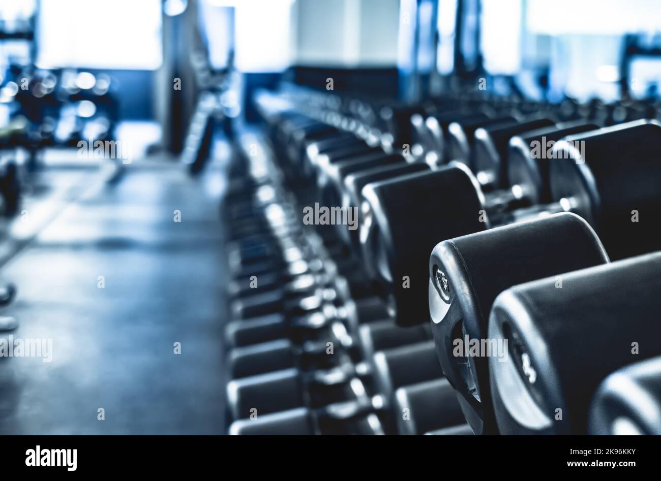 file con un set di manubri Foto Stock