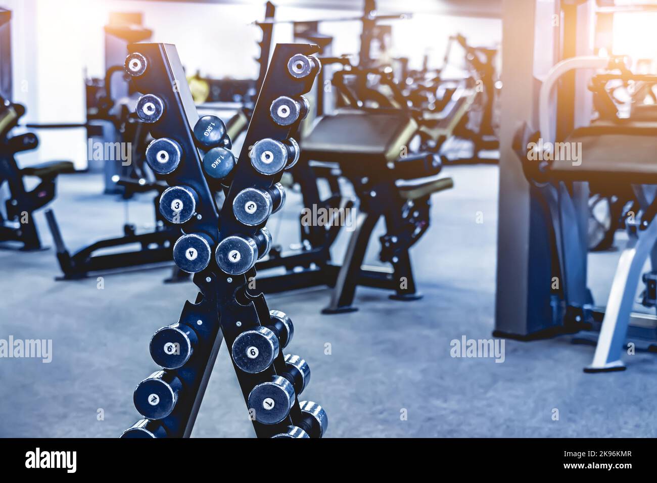 file con un set di manubri Foto Stock