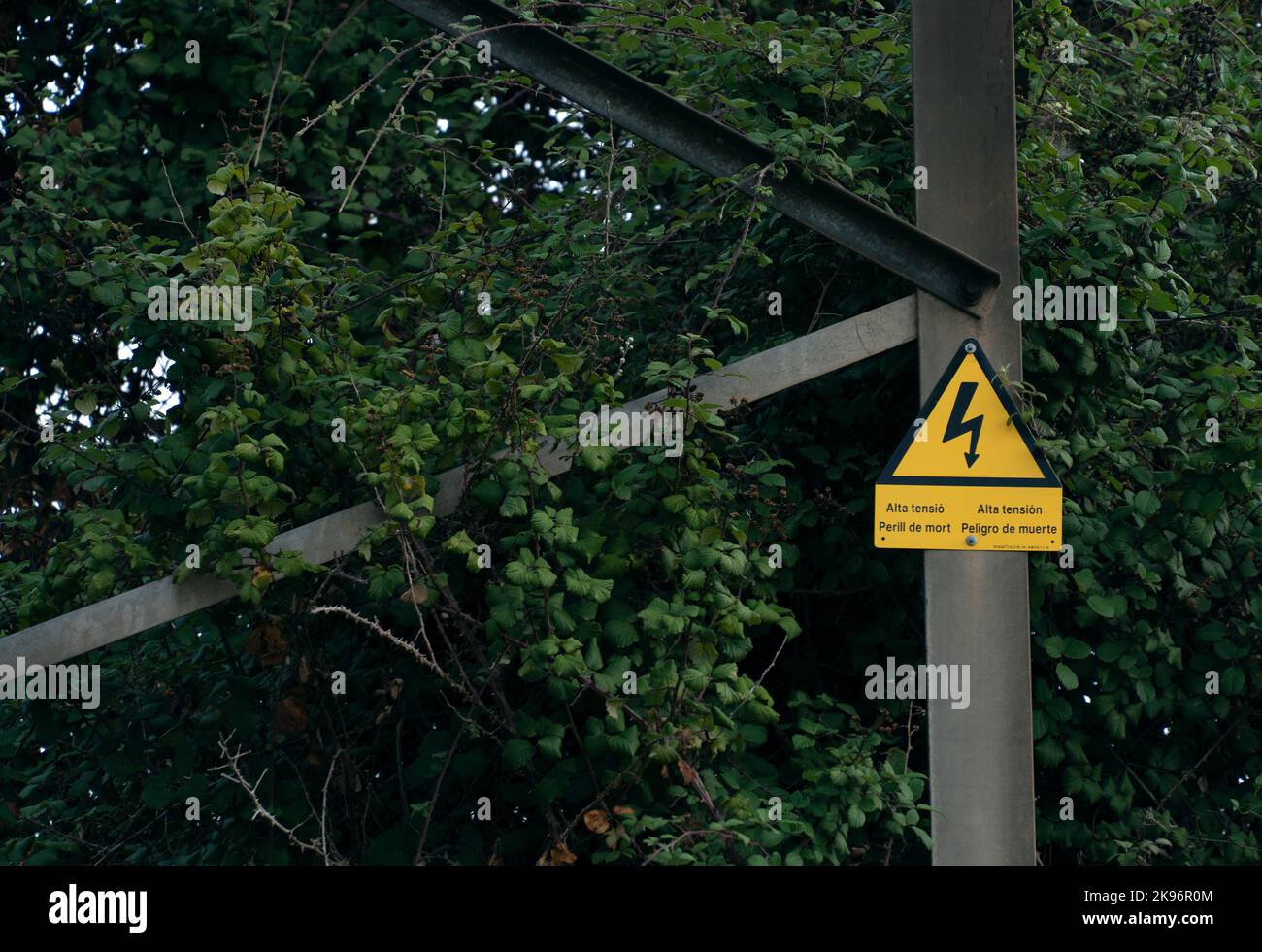 Segno giallo di alta tensione posto alla base di una torre elettrica, circondato da sottobosco forestale Foto Stock