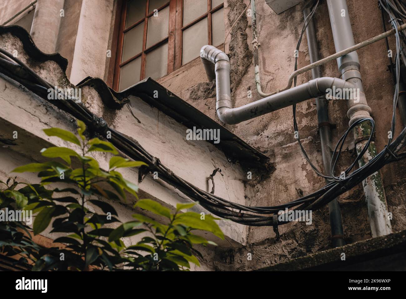 Un particolare di primo piano della facciata in un vicolo con tubi metallici, fili neri sotto la finestra e piante verdi Foto Stock