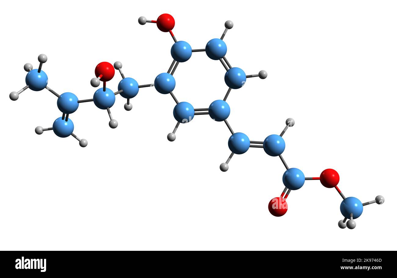 3D immagine di Plicatin Una formula scheletrica - struttura chimica molecolare dell'acido idrossicinnamico isolato su sfondo bianco Foto Stock