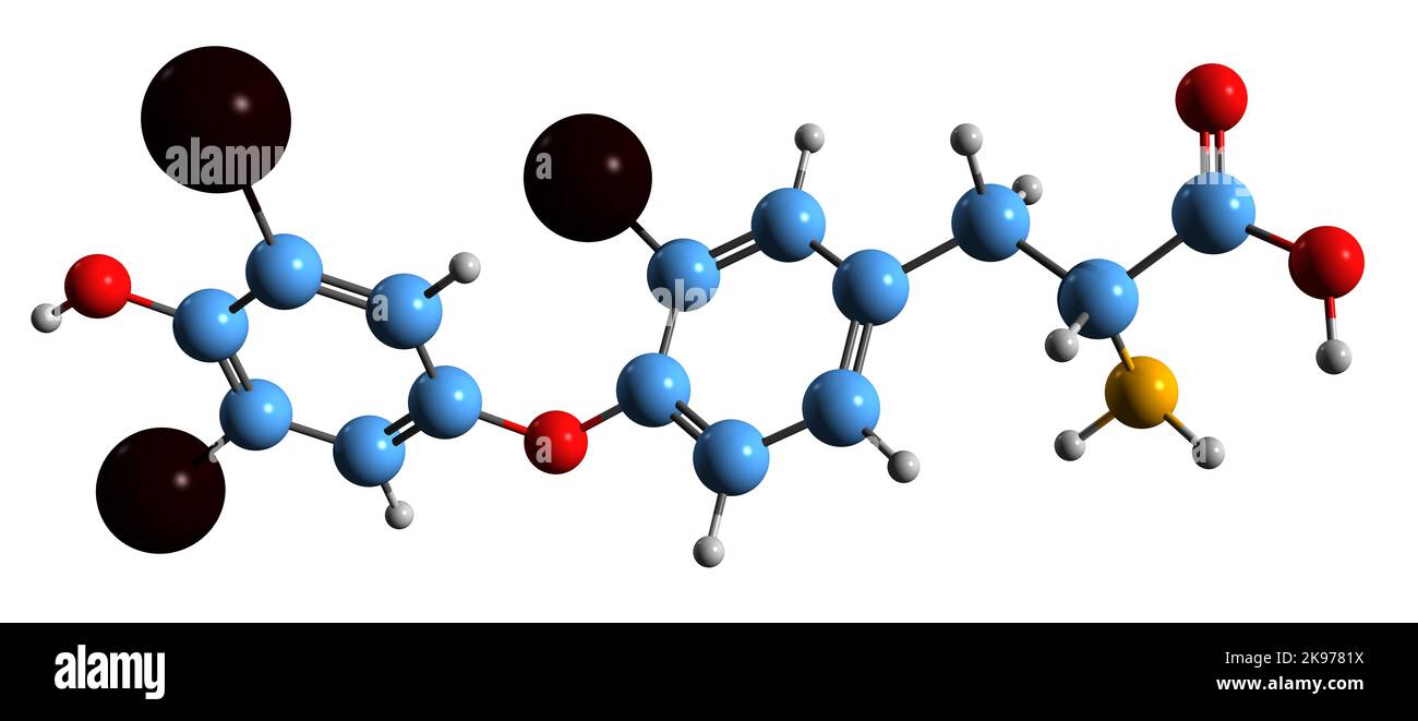 3D immagine della formula scheletrica della triiodotironina inversa - struttura chimica molecolare dell'isomero della triiodotironina isolato su sfondo bianco Foto Stock