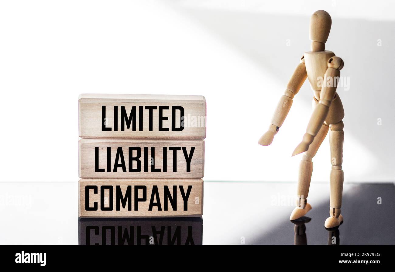 Text Limited Liability Company su un blocco di legno con una bambola di legno su sfondo chiaro . Foto Stock