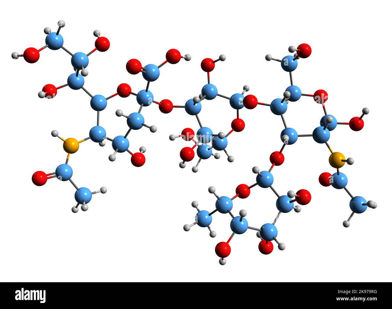 3D immagine della formula scheletrica di sialil Lewis X - struttura chimica molecolare dell'antigene embrionale specifico dello stadio 1 isolato su sfondo bianco Foto Stock