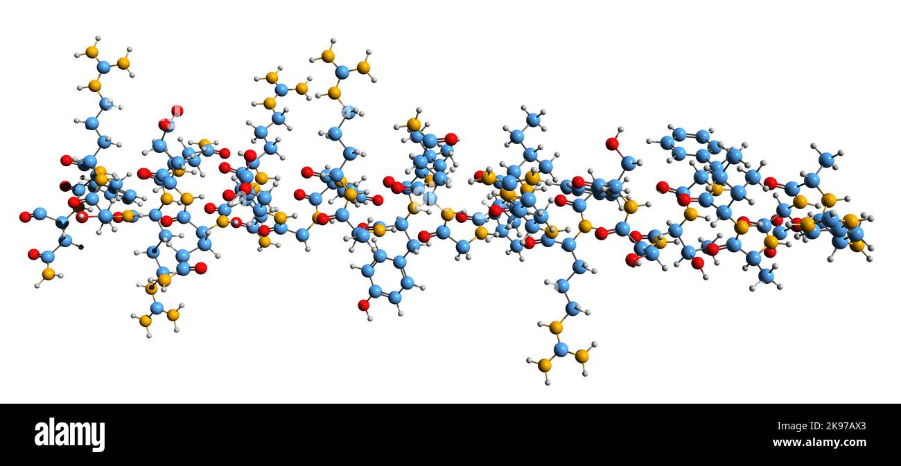 3D immagine dell'ormone di rilascio della somatotropina formula scheletrica - struttura chimica molecolare dell'ormone peptidico SRH isolato su sfondo bianco Foto Stock