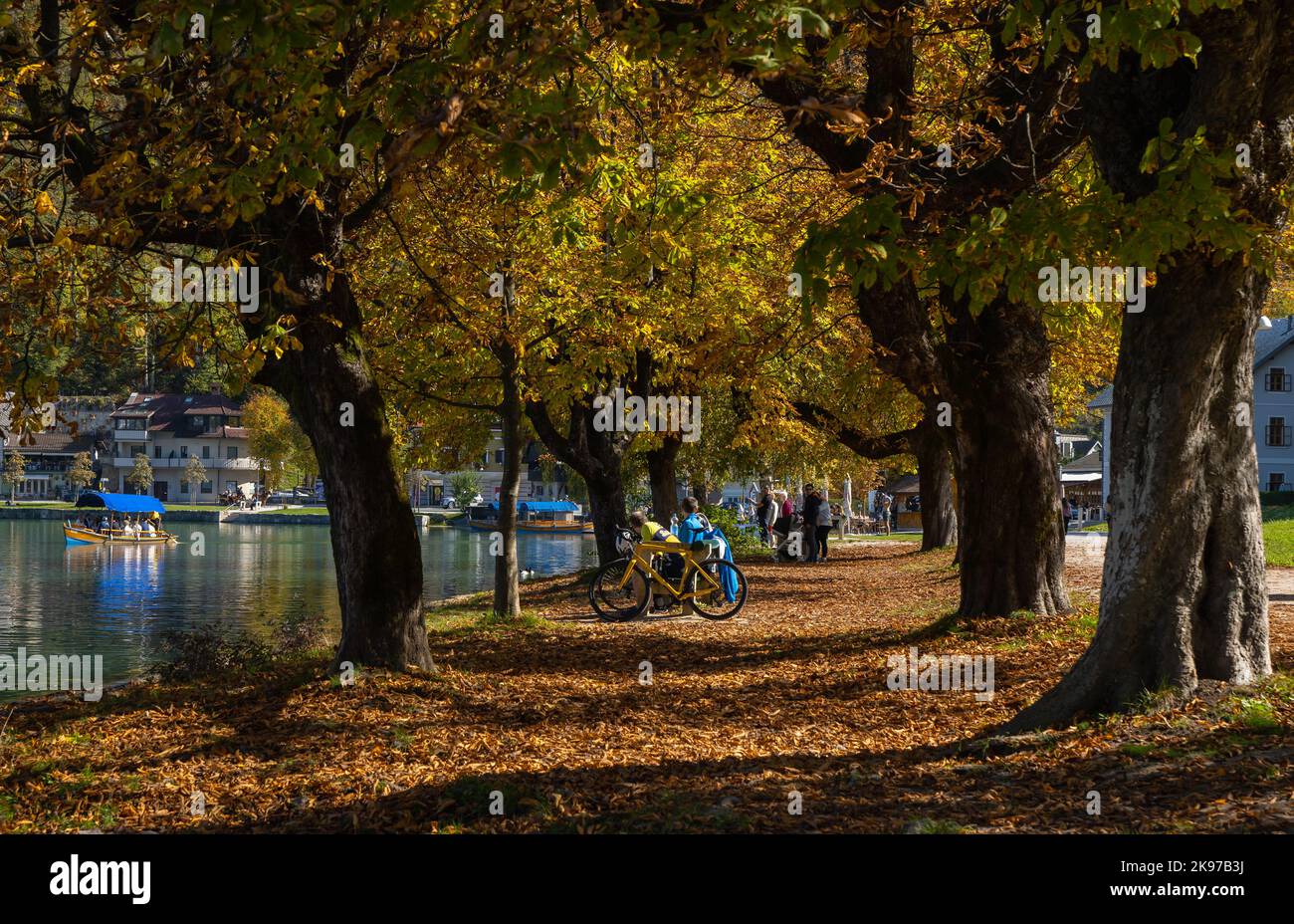 Autunno nel lago di Bled Slovenia Foto Stock