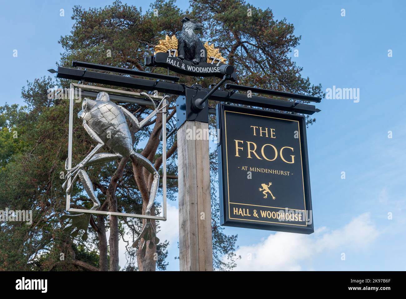 The Frog of Mindenhurst, un pub Hall & Woodhouse nel nuovo sviluppo di alloggi a Deepcut, Surrey, Inghilterra, Regno Unito Foto Stock