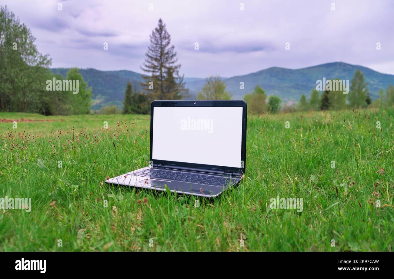 Laptop con schermo vuoto su prato verde, montagne sullo sfondo. Scarica immagine Foto Stock