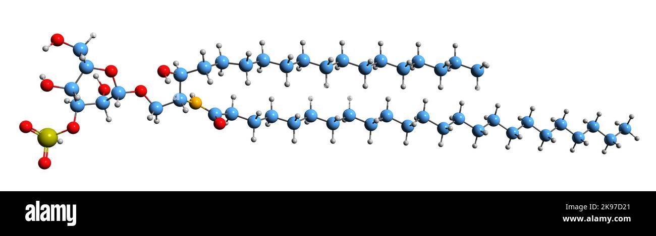 3D immagine della formula scheletrica di Sulfatide - struttura chimica molecolare della 3-o-sulfogalattosilceramide isolata su sfondo bianco Foto Stock