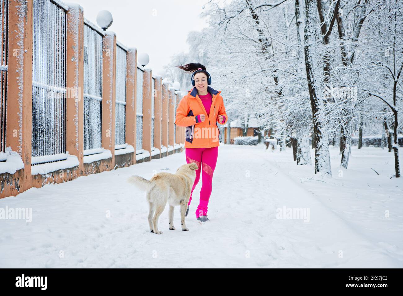 Come affrontare i cani randagi mentre si corre all'aperto. Corsa e jogging e cani da strada. Runner donna incontro cane randagio in inverno parco nevoso, foresta. Foto Stock