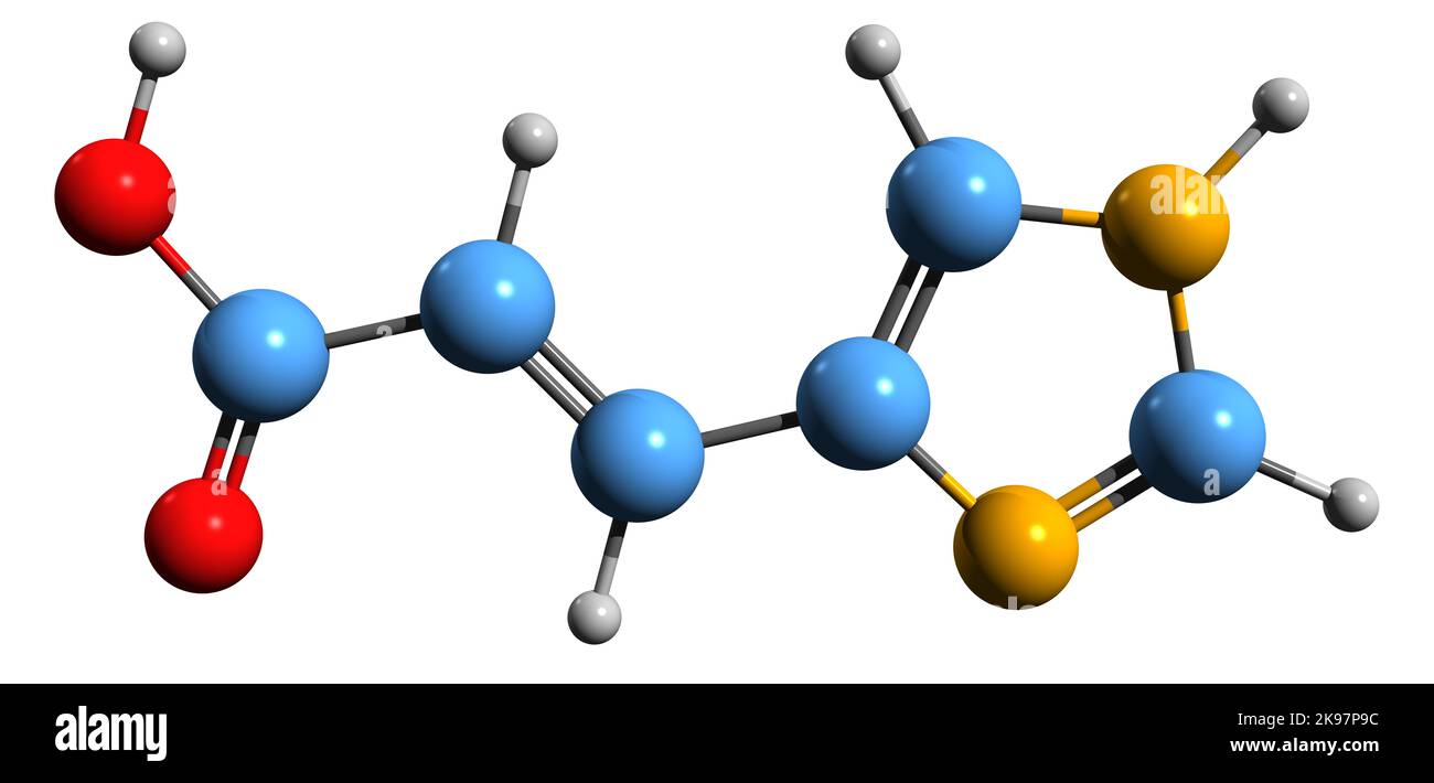 3D immagine della formula scheletrica dell'acido urocanico - struttura chimica molecolare del metabolita L-istidina isolato su sfondo bianco Foto Stock