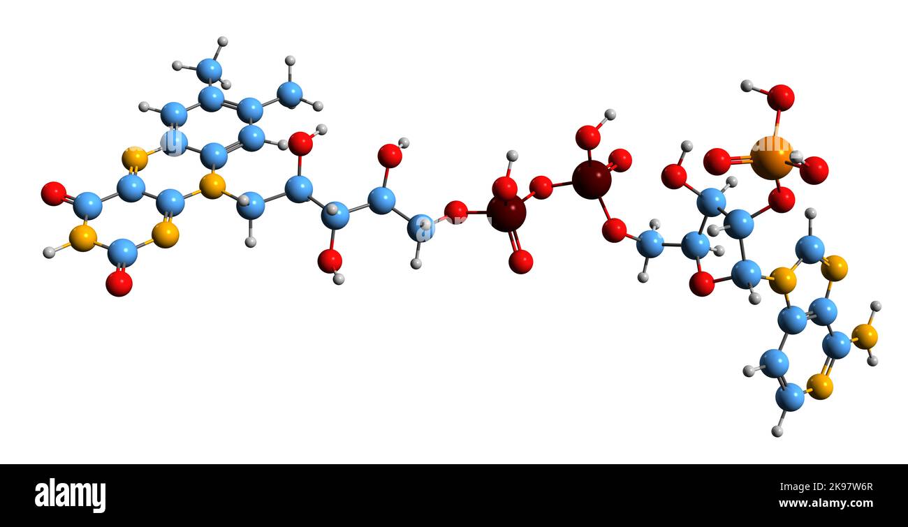 3D immagine di adenosina monofosfato formula scheletrica - struttura chimica molecolare del nucleotide AMP isolato su sfondo bianco Foto Stock