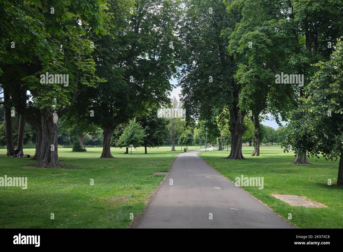 Llandaff Fields Cardiff South Wales UK Foto Stock