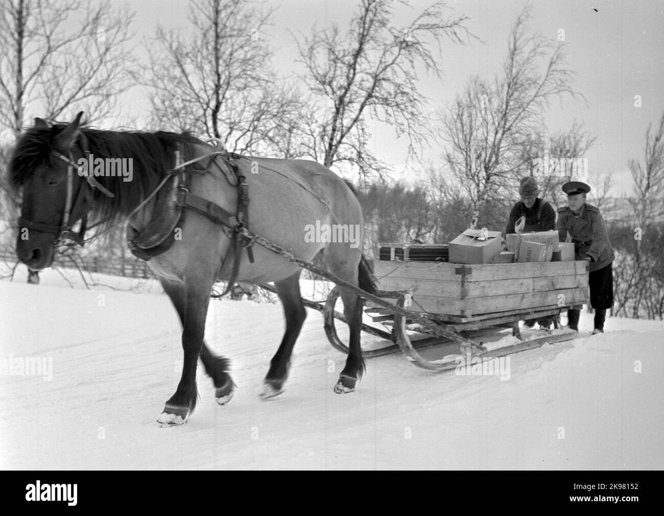 Trasporto a cavallo a Björkliden. Foto Stock