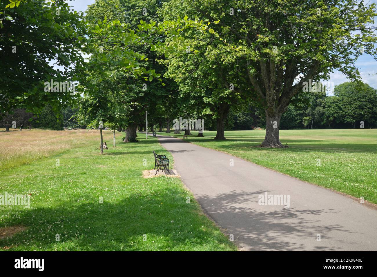 Llandaff Fields Cardiff South Wales UK Foto Stock