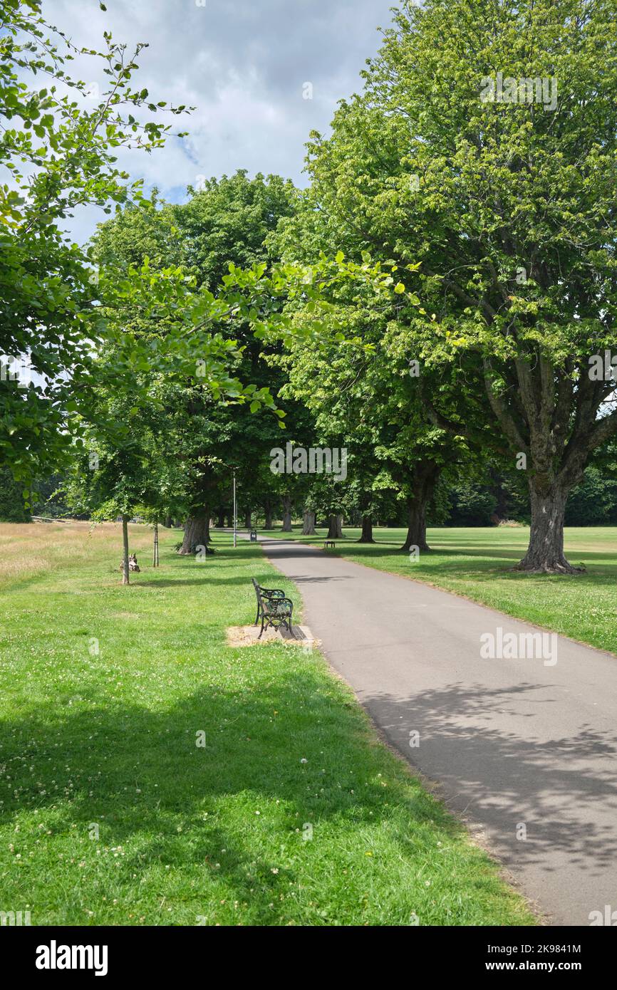 Llandaff Fields Cardiff South Wales UK Foto Stock