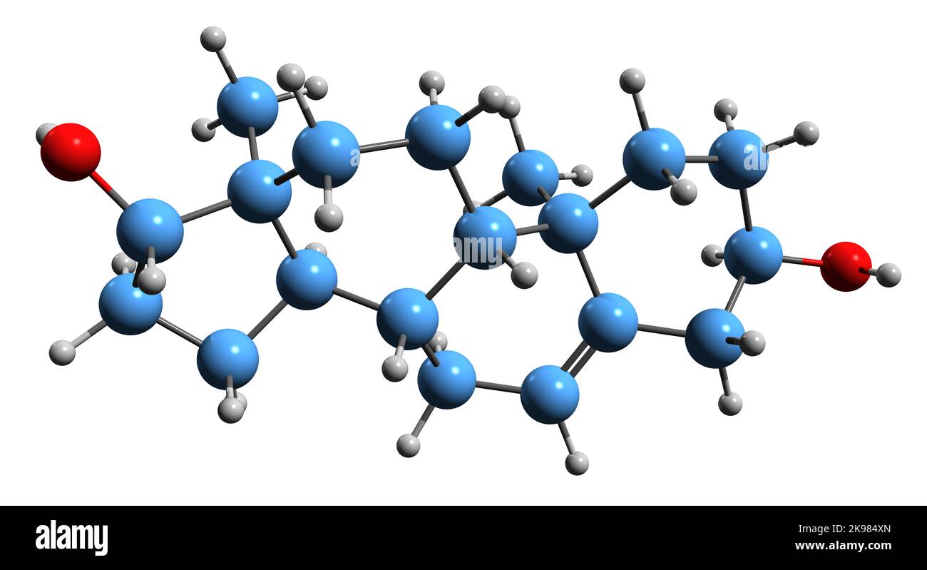 3D immagine di Androstenediol formula scheletrica - struttura chimica molecolare di androgeni deboli e ormone steroideo estrogeno isolato su sfondo bianco Foto Stock