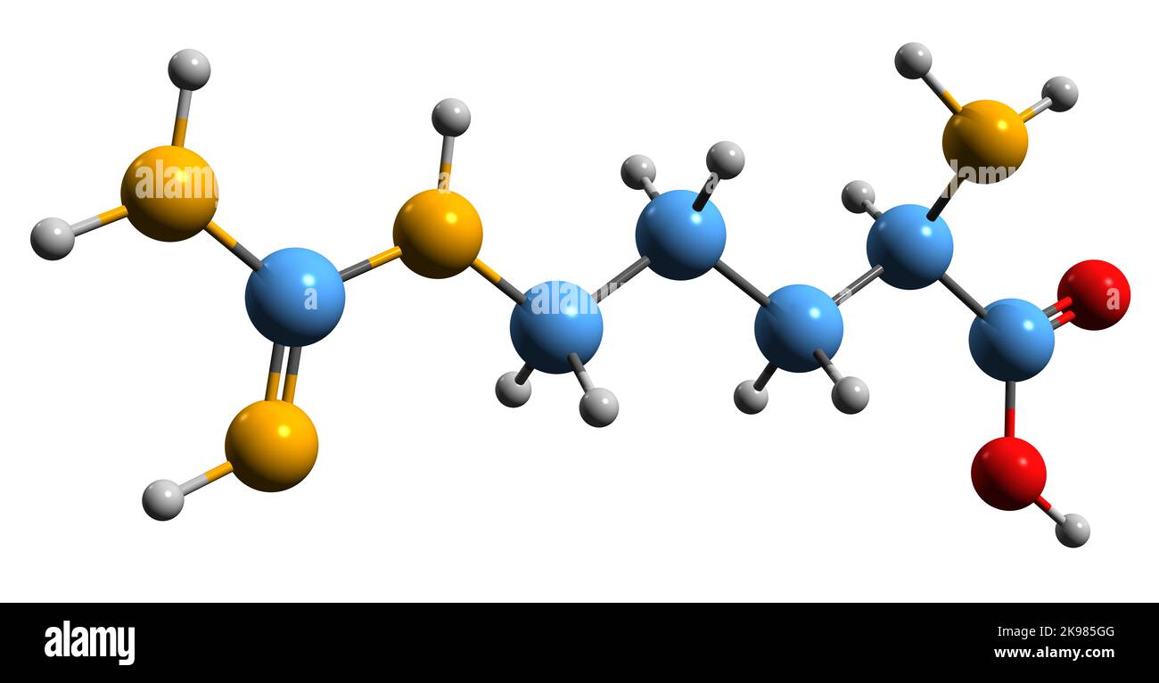 3D immagine della formula scheletrica arginina - struttura chimica molecolare dell'amminoacido isolato su sfondo bianco Foto Stock