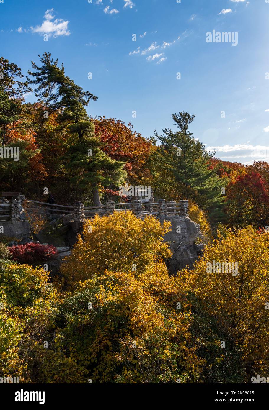Coopers Rock rivestito in pietra si affaccia sugli alberi colorati vicino a Morgantown, West Virginia Foto Stock