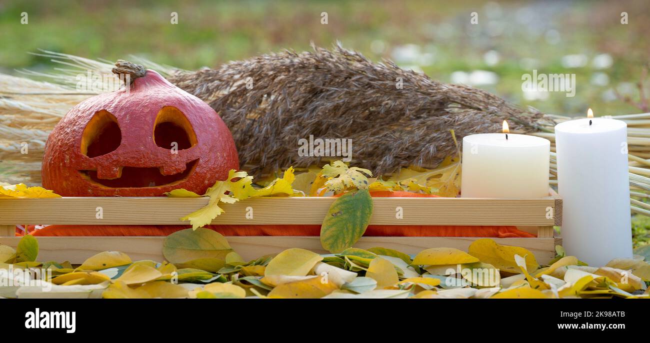 Zucca di Halloween Jack o' Lantern su sfondo colorato autunno Foto Stock