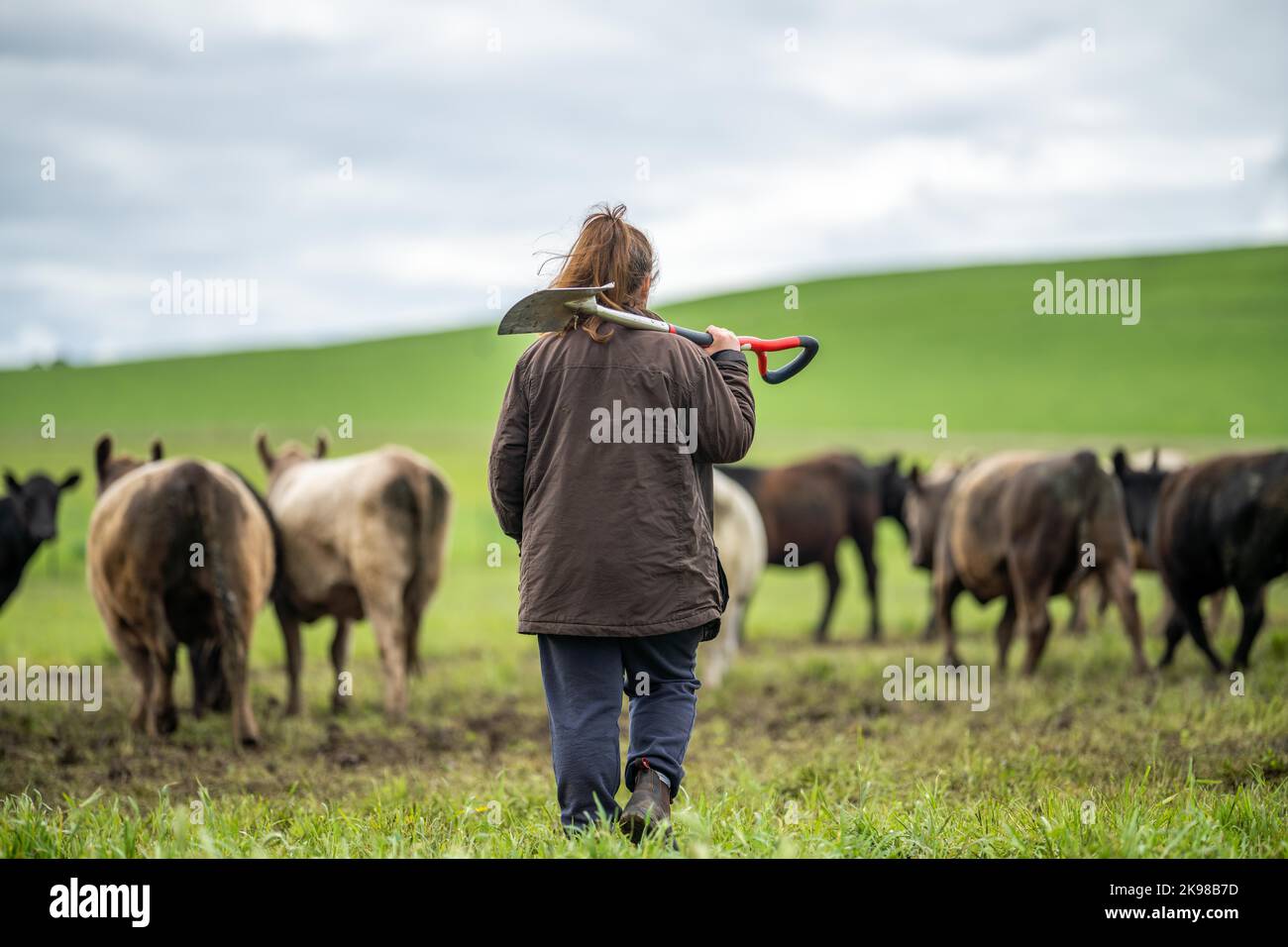 Donne in agricoltura che lavorano in un ranch in America. Scienziato di suolo che sente un campione di suolo. Che prova per microrganismi e funghi Foto Stock