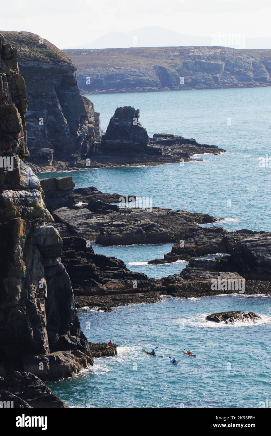 Un gruppo di kyaks di mare esplora le insenature alla base di un'alta scogliera, al largo del faro di South Stack, Anglesea, Galles del nord, Regno Unito Foto Stock