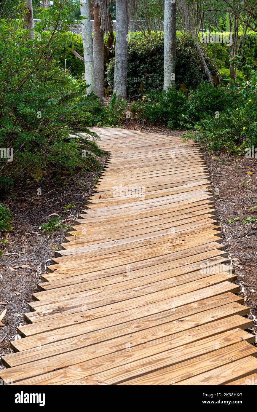 Una stretta passerella in legno o un sentiero attraverso un giardino estivo con pacciame, arbusti, alberi e un paesaggio boscoso. Il percorso escursionistico è fatto di orizzontale Foto Stock