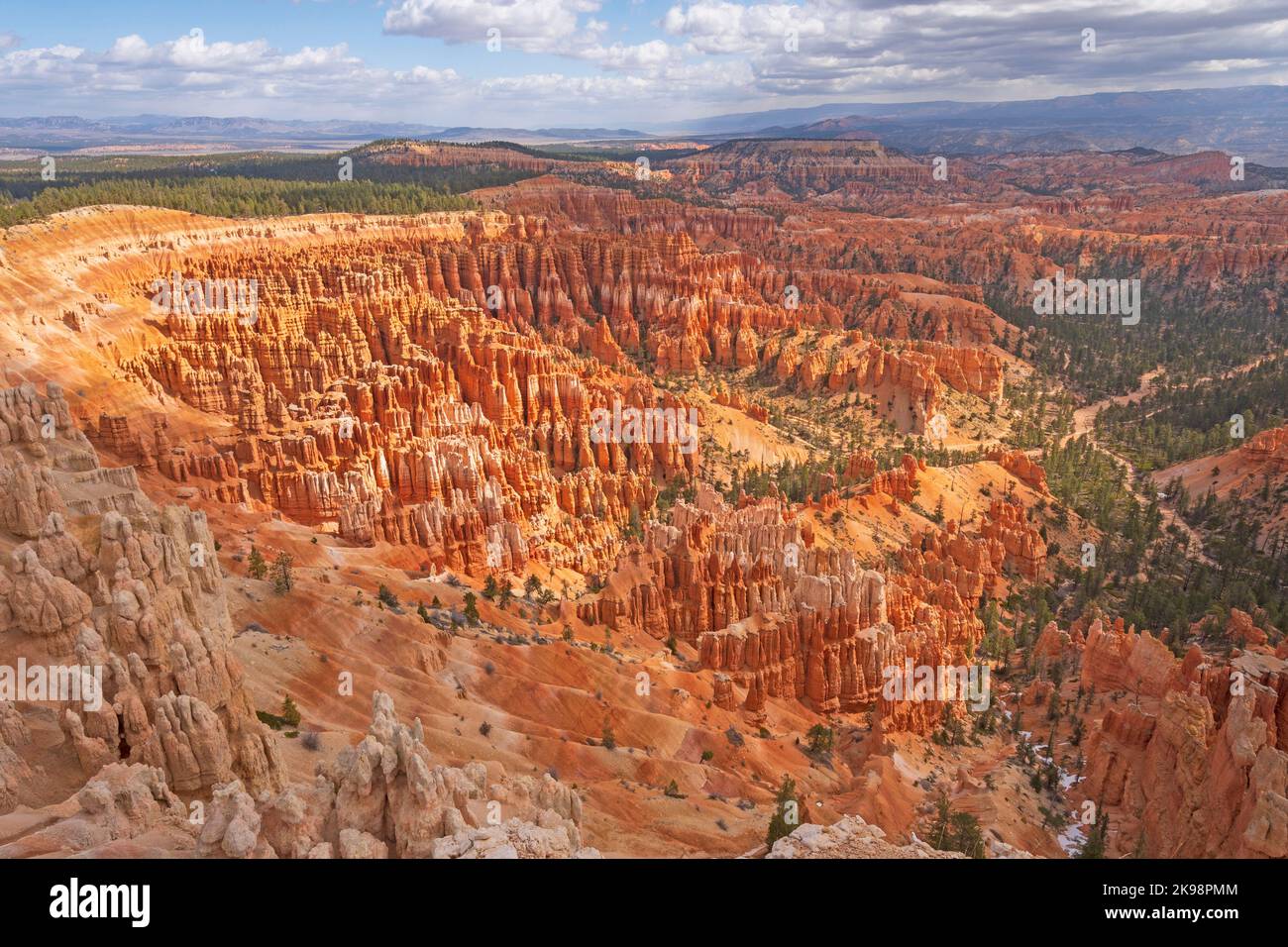 Hoodoos in un anfiteatro naturale nel Bryce Canyon National Park nello Utah Foto Stock