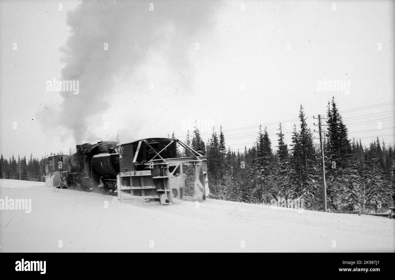 La ferrovia statale, SJ G 5. Snowcrap. Foto Stock