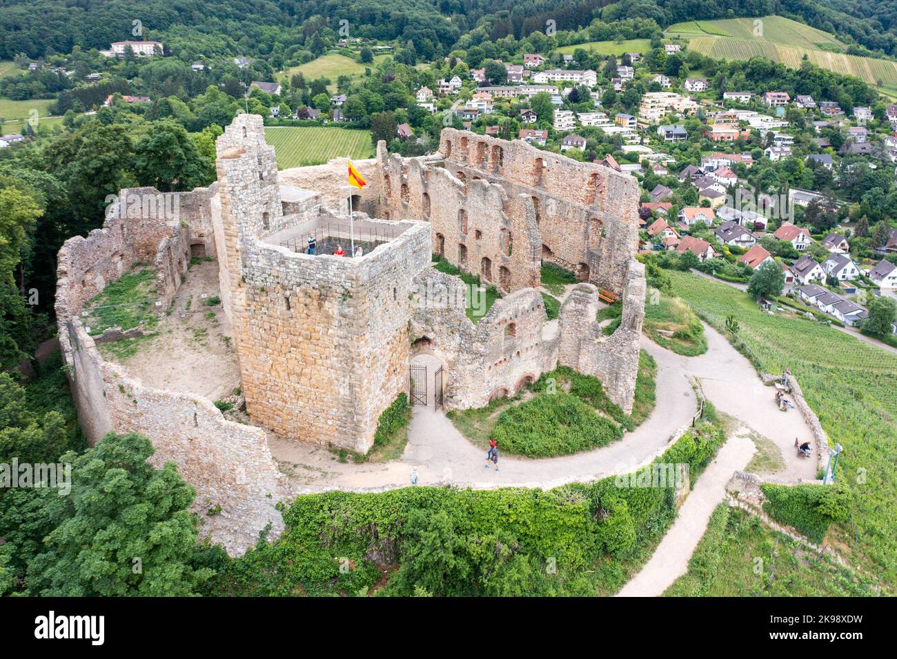 Burgruine Schlossberg, Staufen, Baden, Foresta Nera, Germania Foto Stock