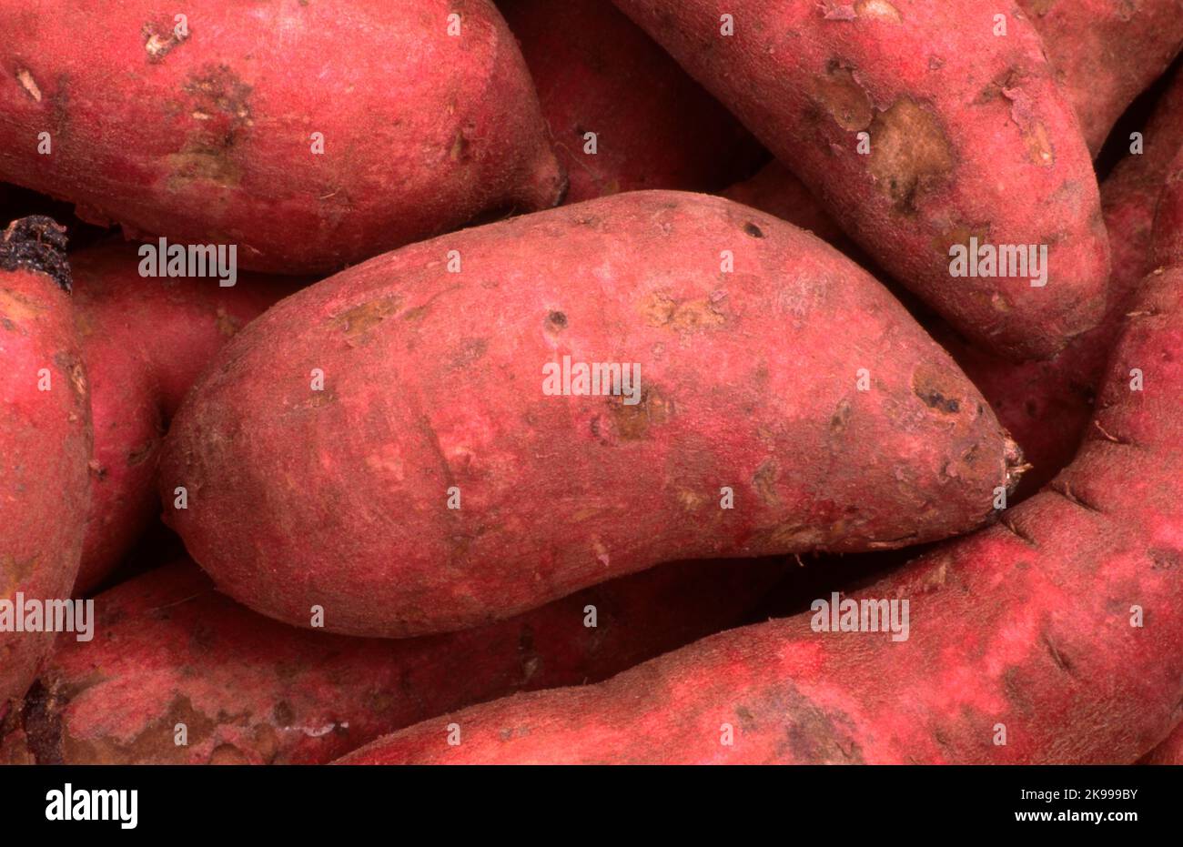 PATATE DOLCI CRUDE RACCOLTE. AUSTRALIA. Foto Stock