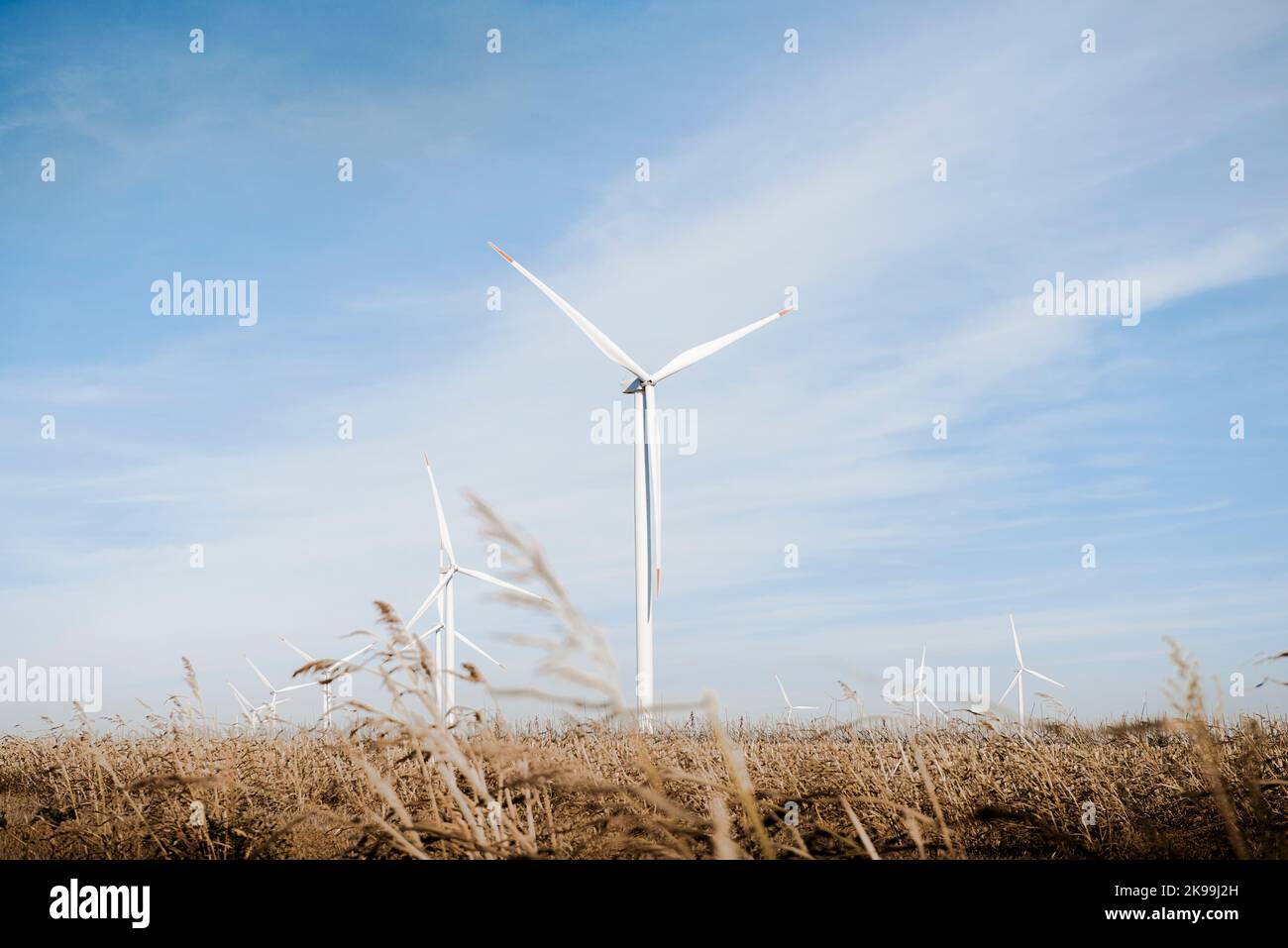 Parco eolico di energia pulita in un campo Foto Stock