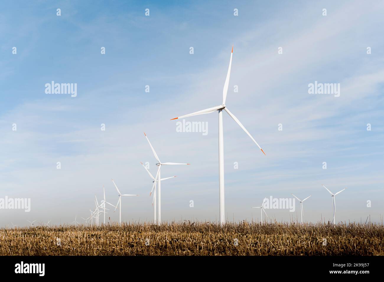 Energia sostenibile parco eolico in un campo Foto Stock