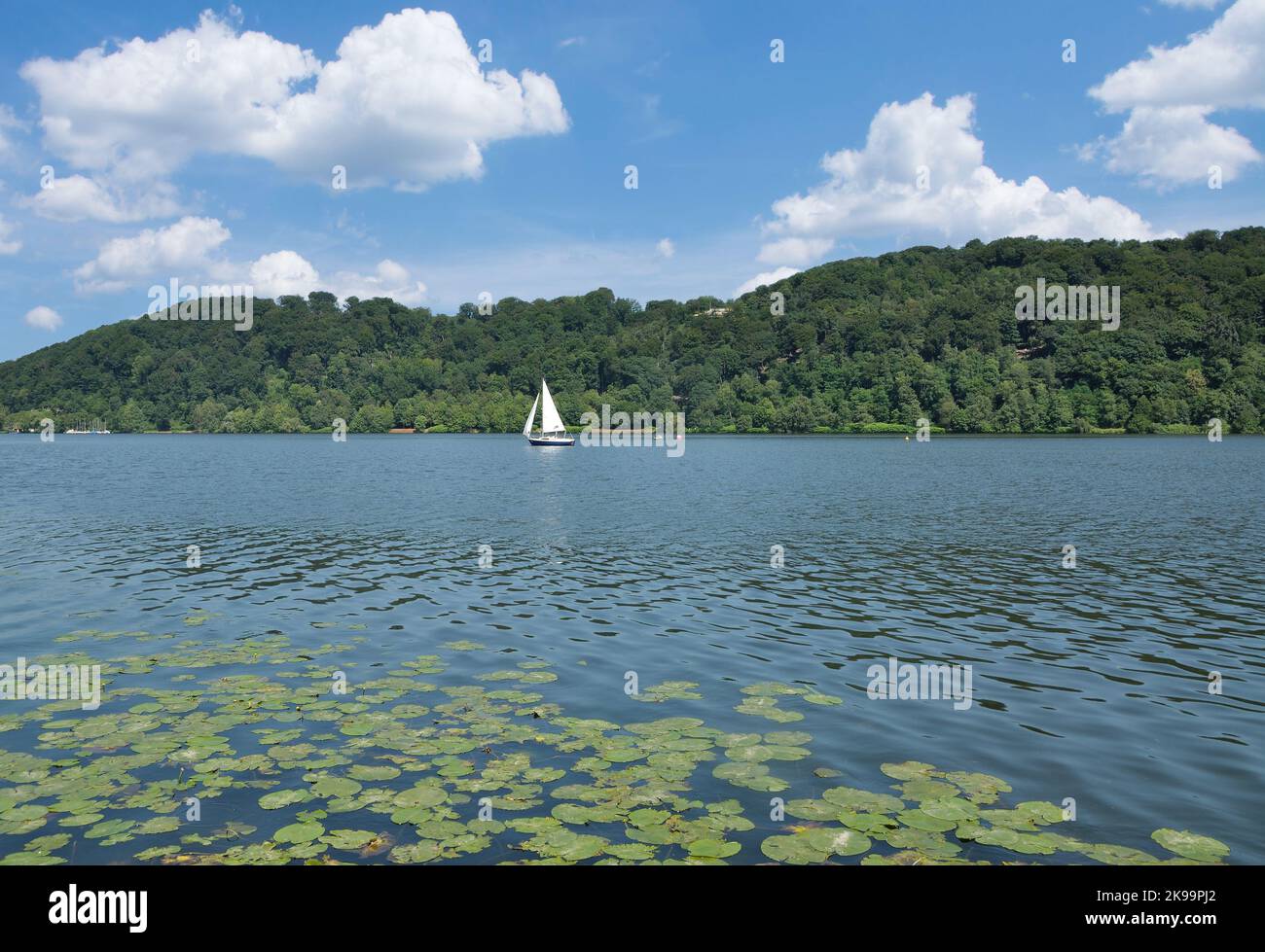 Lago Baldeneysee, Ruhrgebiet, Renania Settentrionale-Vestfalia, Germania Foto Stock