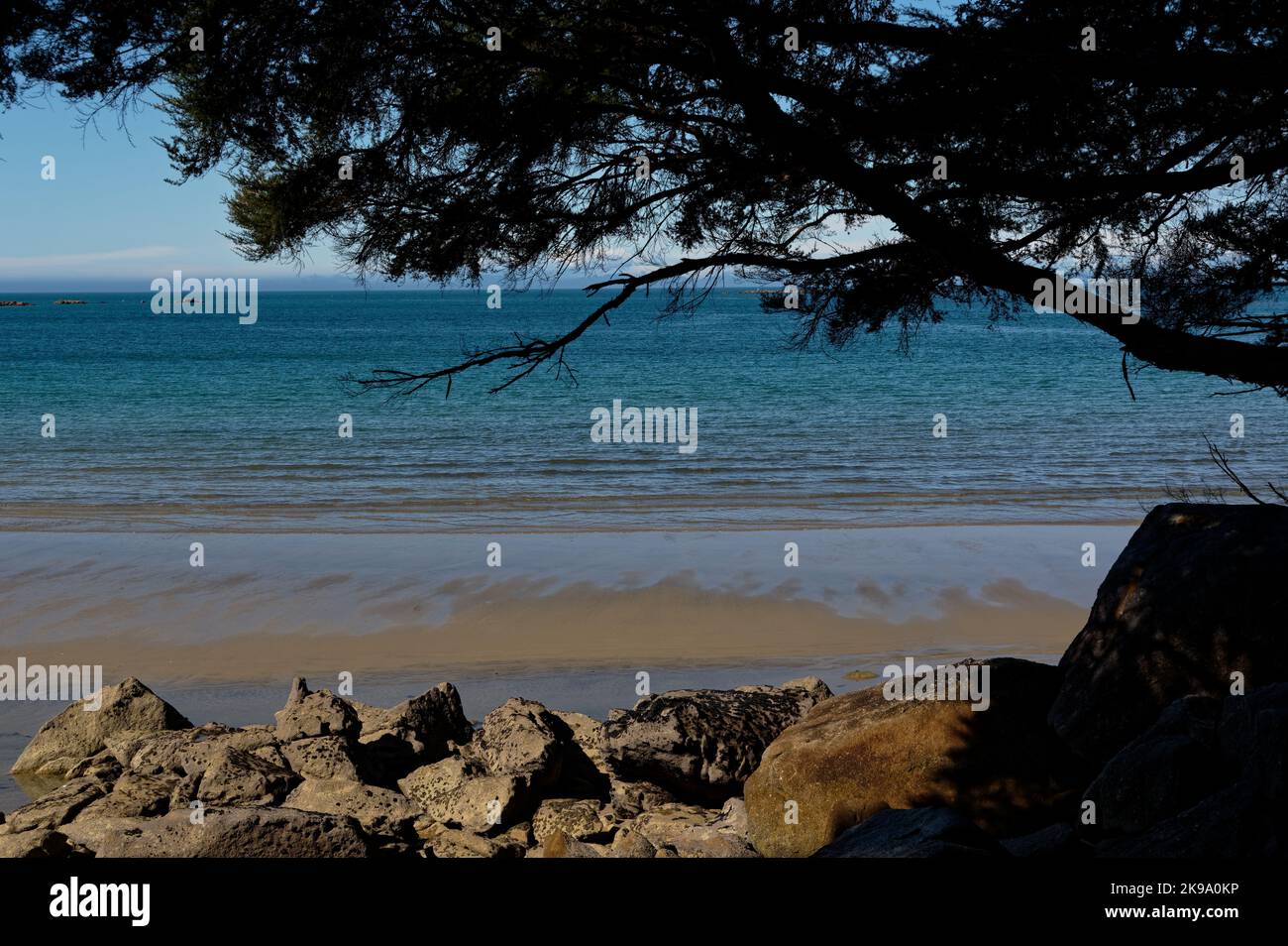 La pista costiera di Abel Tasman è una "Grande passeggiata" in Nuova Zelanda. Ha molte spiagge sabbiose e mare verde blu. Foto Stock