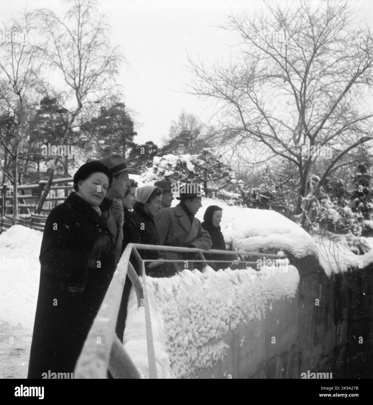 La famiglia Johansson allo zoo di Frösö. Corona della famiglia ferroviaria svedese n. 1 di SJ-News nel numero 11-12 nel 1956. Foto Stock