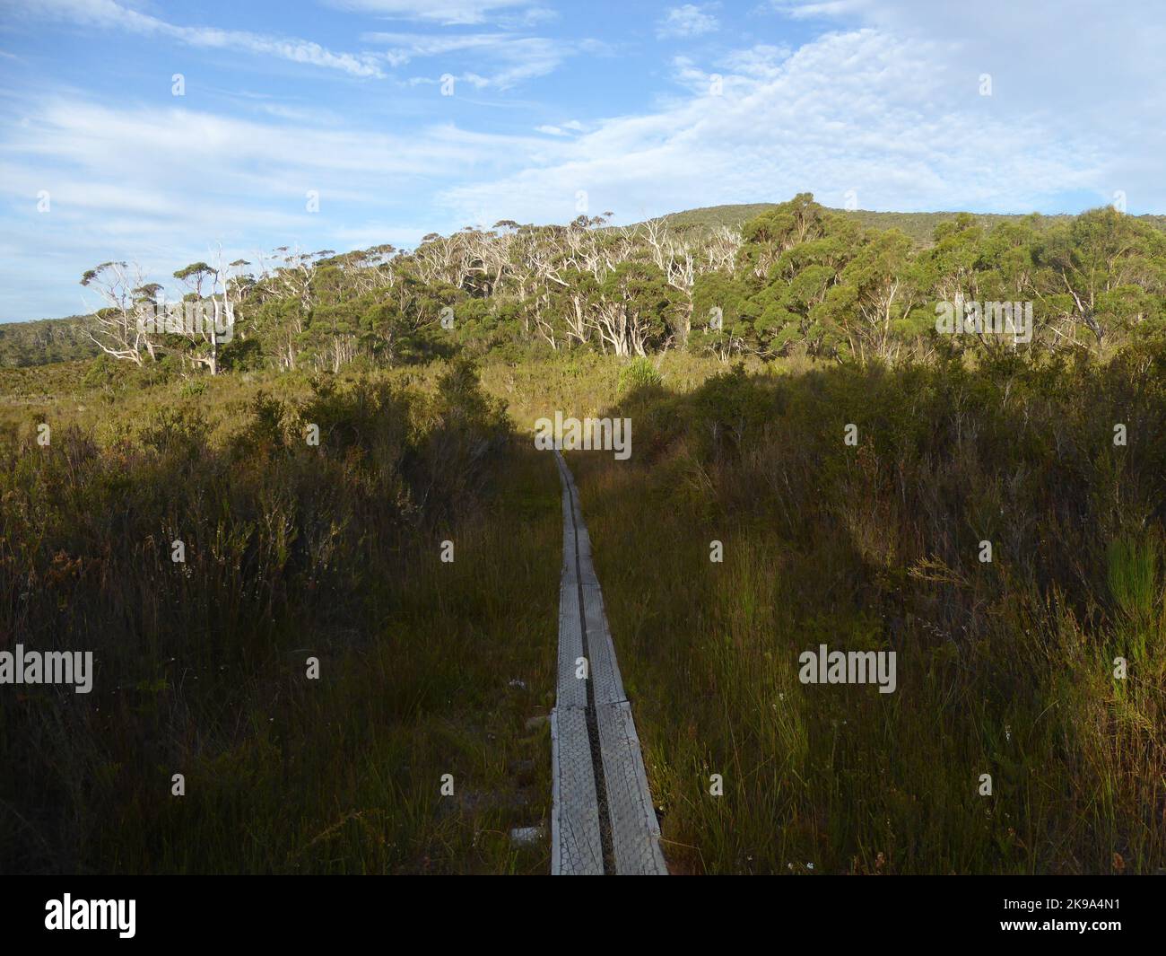 South Coast Track.Tasmanian Wilderness. Tasmania. Australia Foto Stock