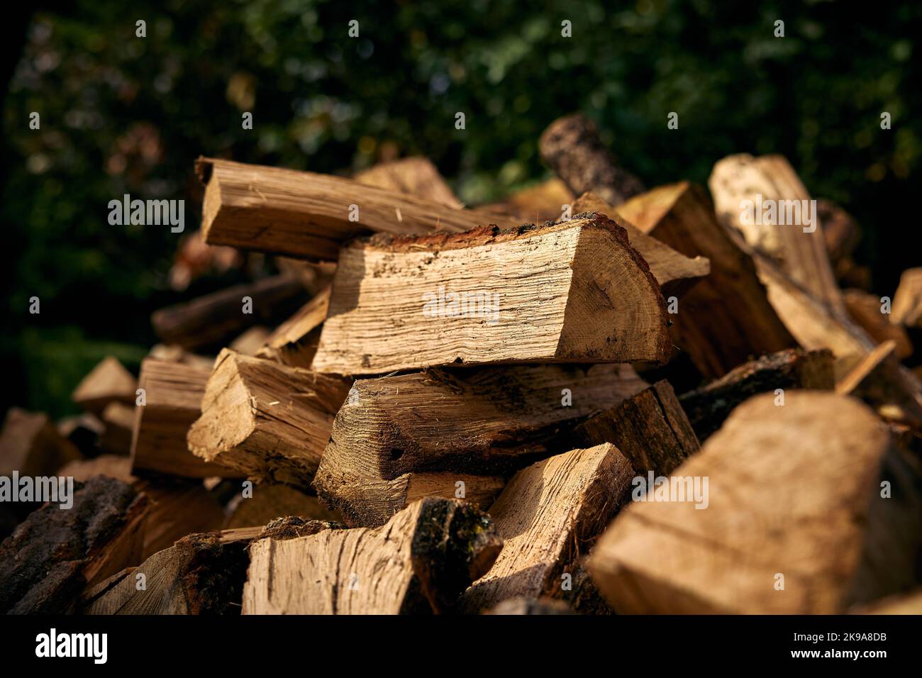 Primo piano di un mucchio di tronchi tagliati sullo sfondo verde Foto Stock