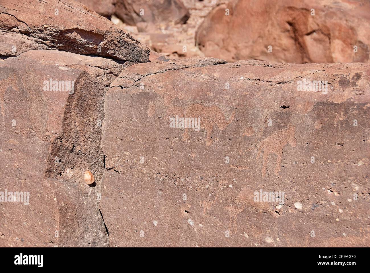 Twyfelfontein, Namibia - 07-16-2013: Le incisioni rupestri sono patrimonio dell'umanità dell'UNESCO nel nord della Namibia Foto Stock