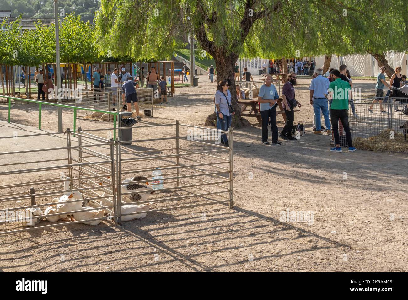 Felanitx, Spagna; 23 2022 ottobre: Fiera annuale della paprika, che si tiene nella città maiorchina di Felanitx, Spagna. Shepherd guida il suo cane mentre esegue un'oca Foto Stock