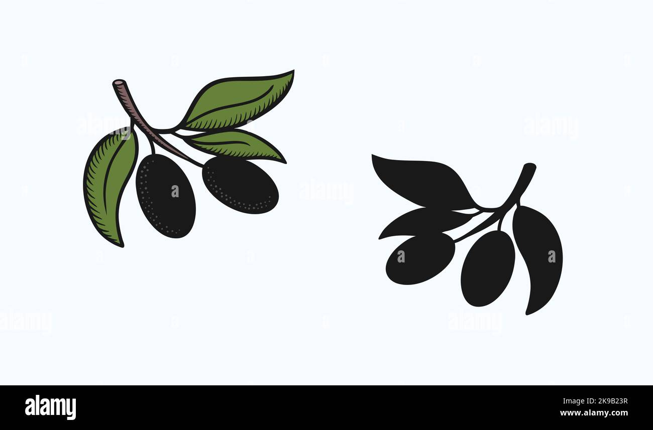 Icona di frutta d'oliva, contorno con disegno vettoriale di stile di riempimento colore, silhouette del frutto nero sul ramo Illustrazione Vettoriale
