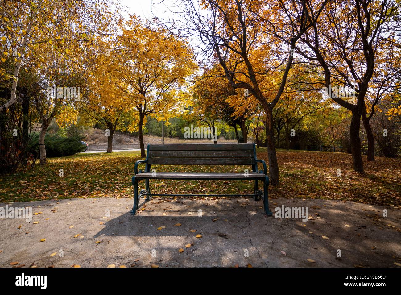 Panca vuota nel parco in autunno Foto Stock