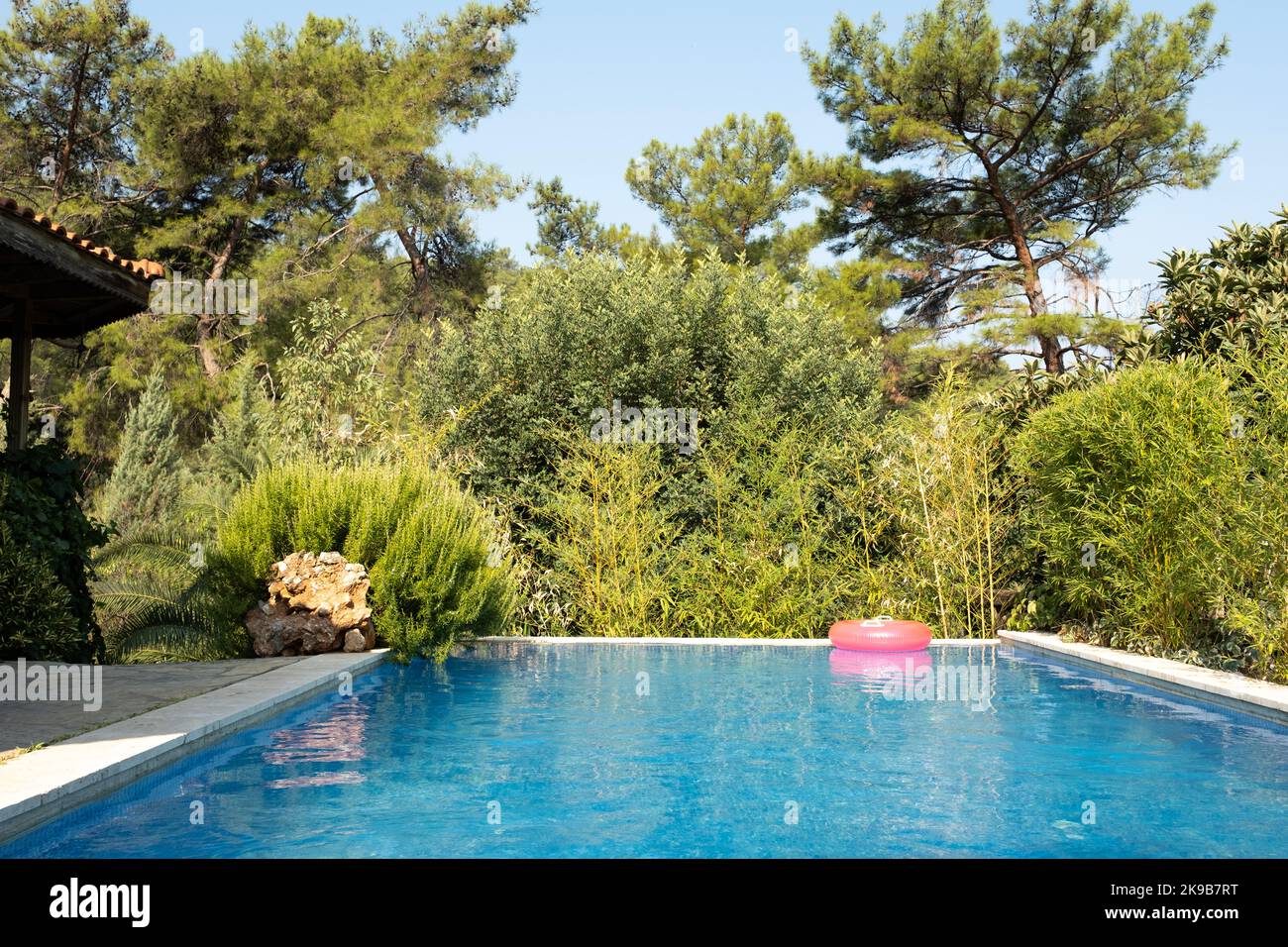 Piscina privata, bella foto di giorno d'estate della piscina privata. Villa giardino in foresta. Giardino segreto in lunghi pini. Foto Stock