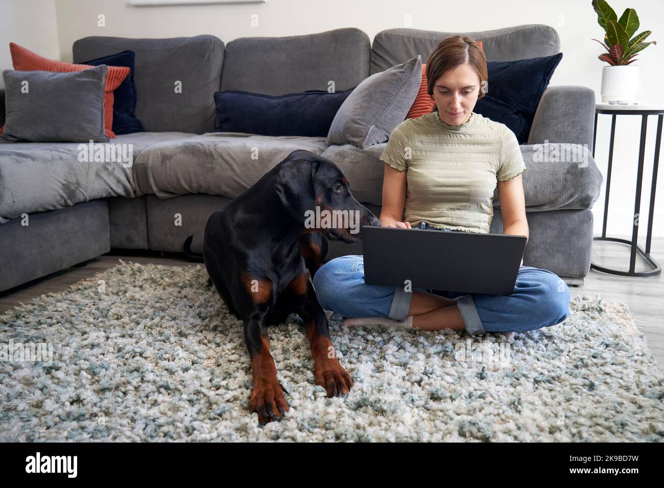 Giovane donna seduta sul pavimento di fronte al divano a casa che lavora su un computer portatile con un cane accanto a lei Foto Stock