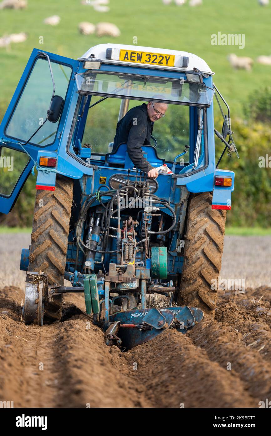 Aratura di un solco. Trattore blu in corrispondenza di una partita di aratura, Medstead, Hampshire, Regno Unito Foto Stock