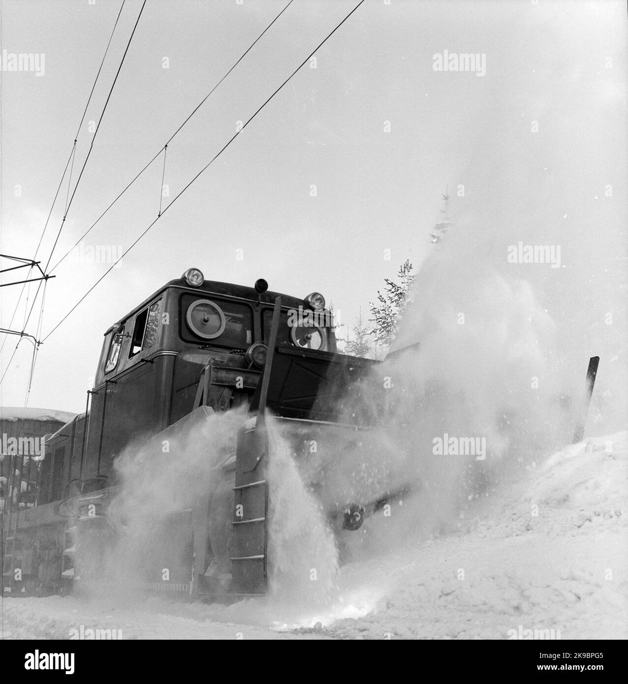 Fiocco di neve SJ QDA 945 Foto Stock
