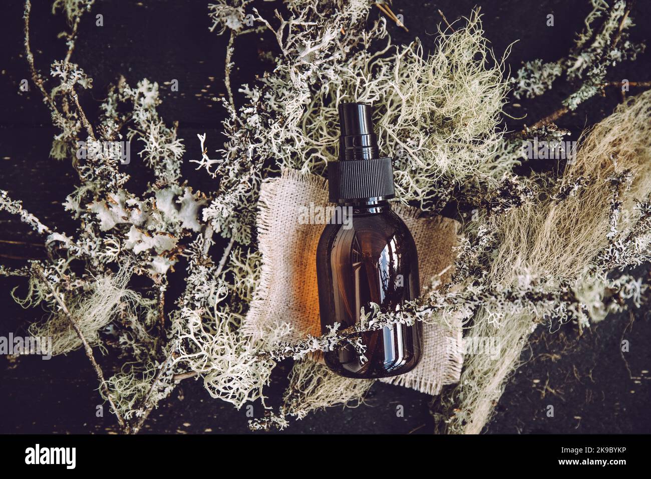 Bottiglia di vetro marrone con tintura di medicinale di lichene di erbe all'interno concetto. Concetto di tintura di lichen o barba di Usnea barbata o di barba di un vecchio. Legno nero. Foto Stock