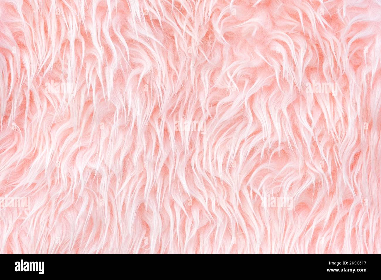 Texture di rosa chiaro lunga pelliccia artificiale primo piano. Arredamento e concetto di comfort. Banner orizzontale con spazio di copia Foto Stock